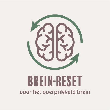 Brein-Reset, reset het overprikkelde brein